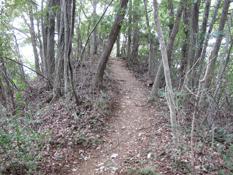 20151006hike (210)
